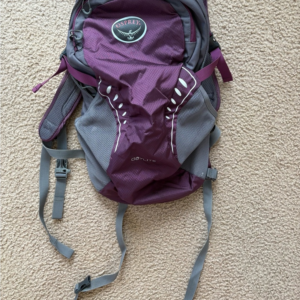 Osprey Purple and Gray Women's Backpack
